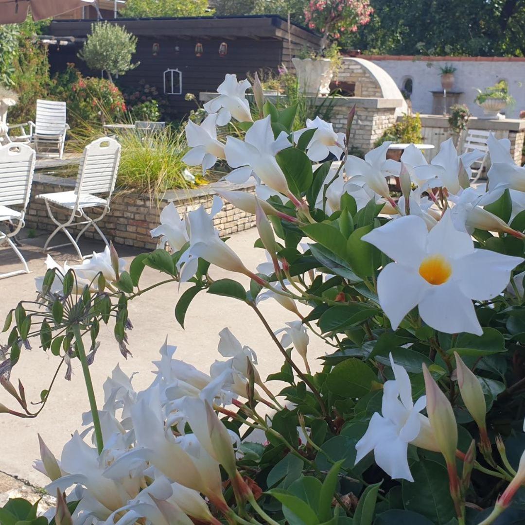B&B Welgelegen Workum Esterno foto