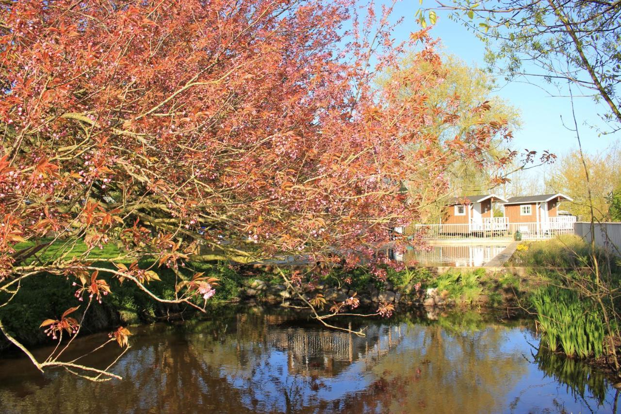 B&B Welgelegen Workum Esterno foto